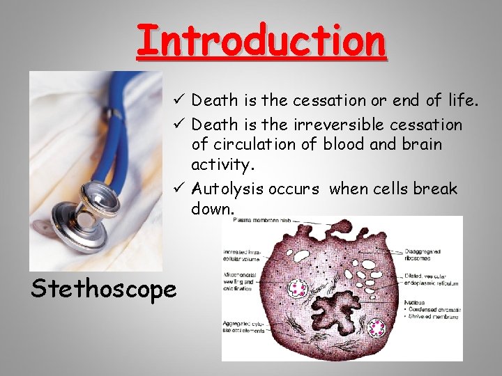Introduction ü Death is the cessation or end of life. ü Death is the