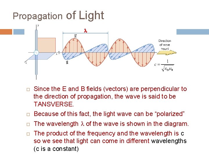 Propagation of Light l Since the E and B fields (vectors) are perpendicular to