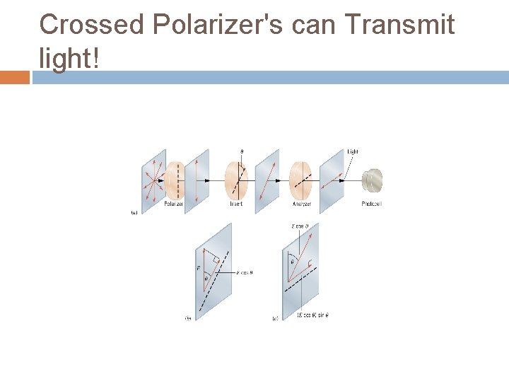 Crossed Polarizer's can Transmit light! 