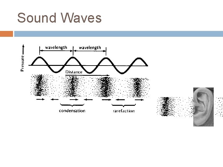 Sound Waves 