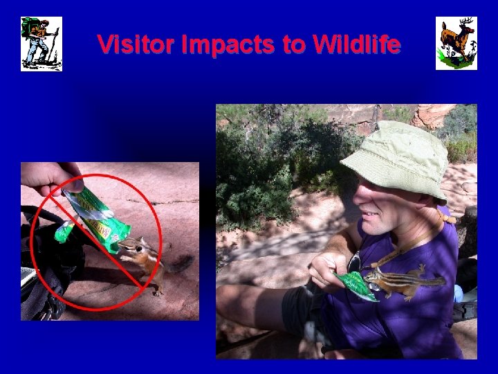 Visitor Impacts to Wildlife 