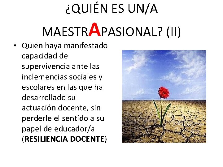 ¿QUIÉN ES UN/A MAESTRAPASIONAL? (II) • Quien haya manifestado capacidad de supervivencia ante las