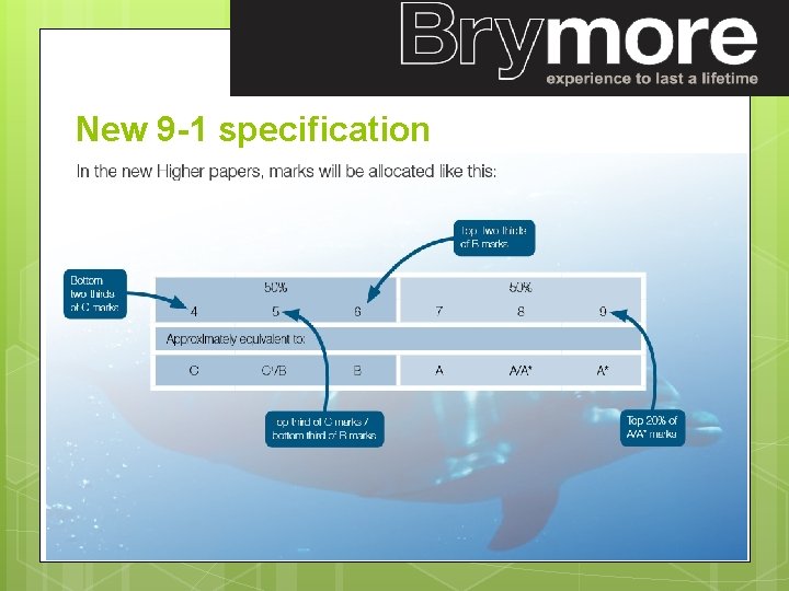 New 9 -1 specification 