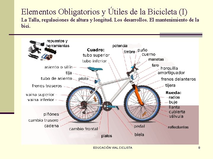 Elementos Obligatorios y Útiles de la Bicicleta (I) La Talla, regulaciones de altura y