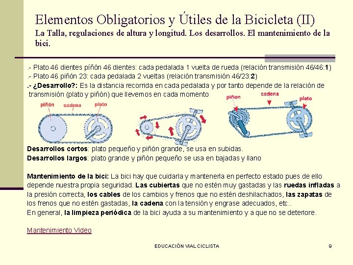 Elementos Obligatorios y Útiles de la Bicicleta (II) La Talla, regulaciones de altura y