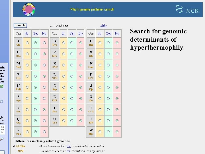 Search for genomic determinants of hyperthermophily 