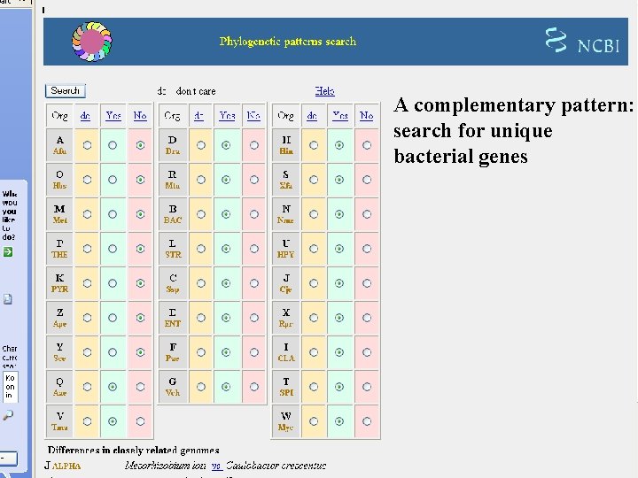 A complementary pattern: search for unique bacterial genes 