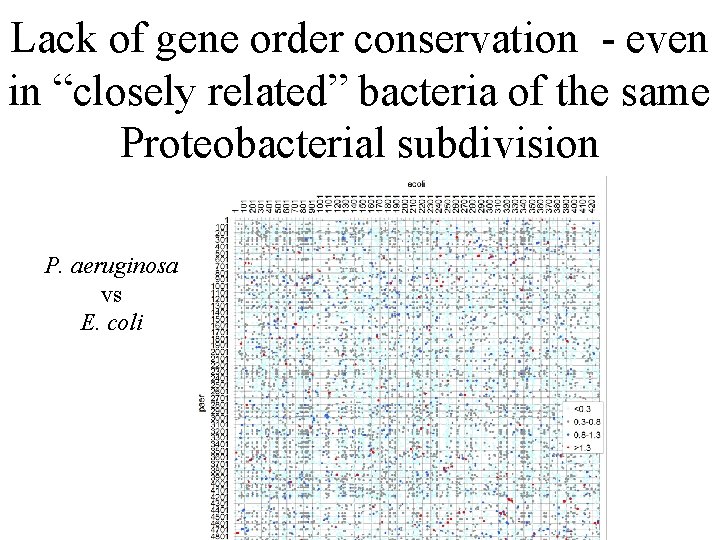 Lack of gene order conservation - even in “closely related” bacteria of the same