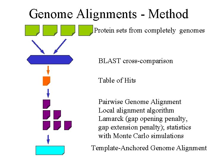 Genome Alignments - Method Protein sets from completely genomes BLAST cross-comparison Table of Hits