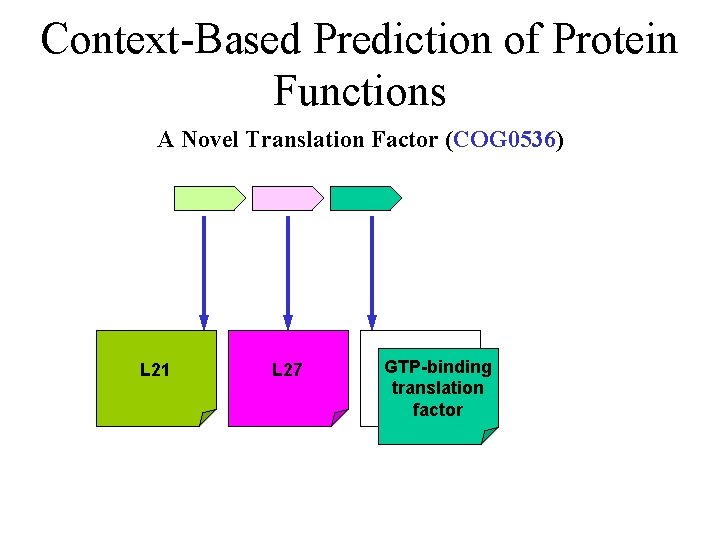 Context-Based Prediction of Protein Functions A Novel Translation Factor (COG 0536) L 21 L