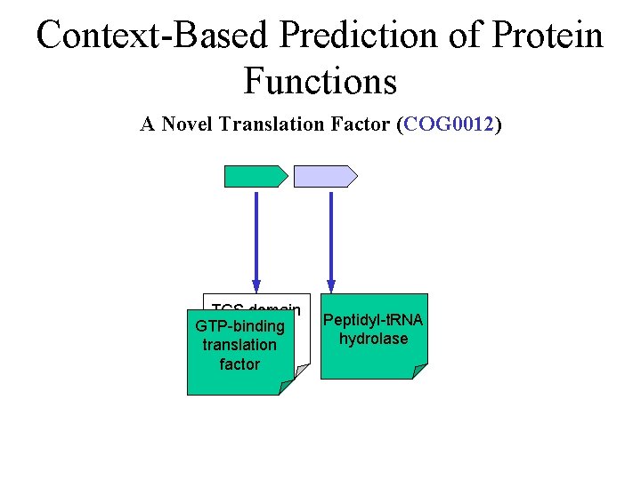 Context-Based Prediction of Protein Functions A Novel Translation Factor (COG 0012) TGS domain GTP-binding