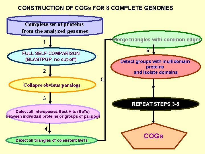 CONSTRUCTION OF COGs FOR 8 COMPLETE GENOMES Complete set of proteins from the analyzed