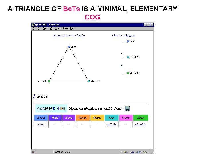 A TRIANGLE OF Be. Ts IS A MINIMAL, ELEMENTARY COG 