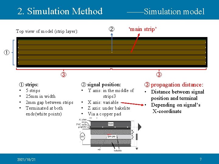 2. Simulation Method Top view of model (strip layer): ——Simulation model ② ‘main strip’