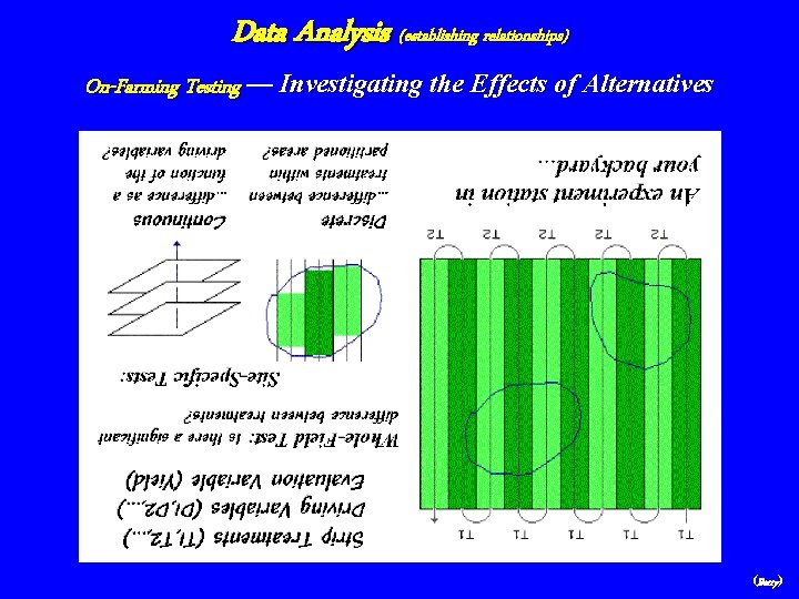 Data Analysis (establishing relationships) On-Farming Testing — Investigating the Effects of Alternatives (Berry) 