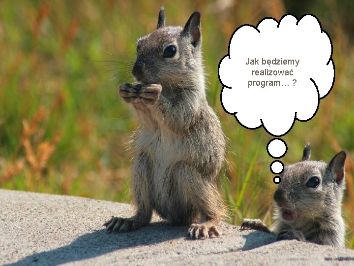 Jak będziemy realizować program… ? 