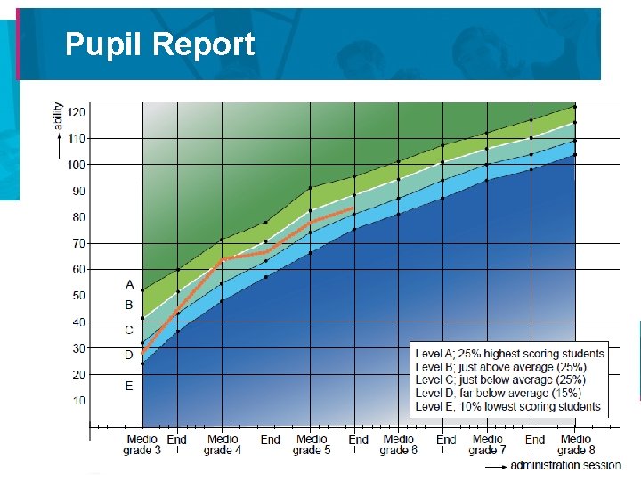 Pupil Report 