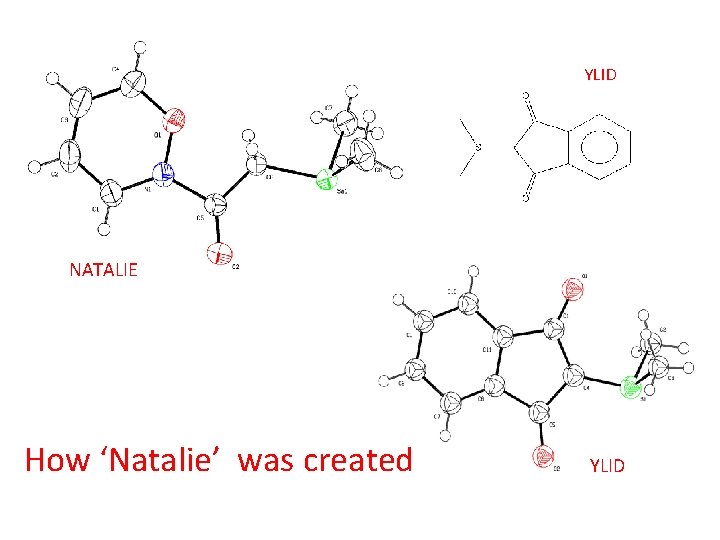 YLID NATALIE How ‘Natalie’ was created YLID 