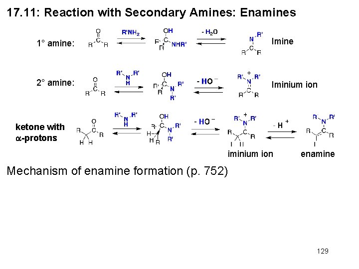 17. 11: Reaction with Secondary Amines: Enamines 1° amine: Imine 2° amine: Iminium ion