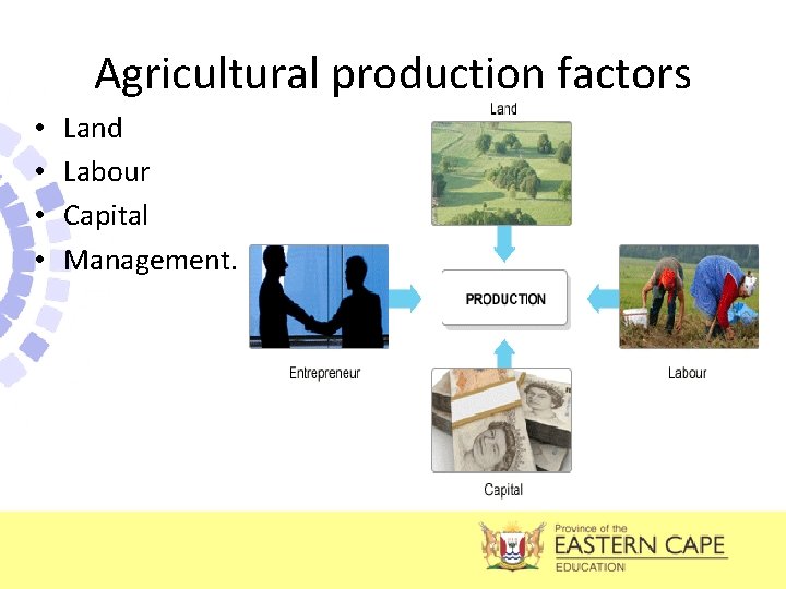 Agricultural production factors • • Land Labour Capital Management. 