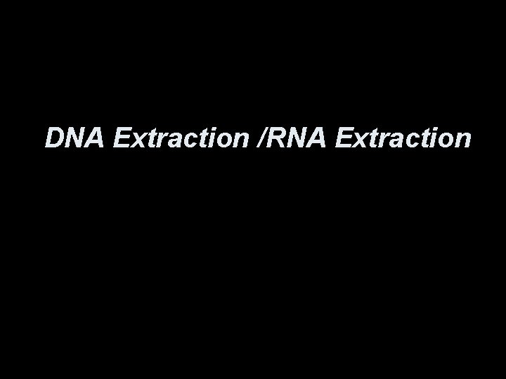 DNA Extraction /RNA Extraction 