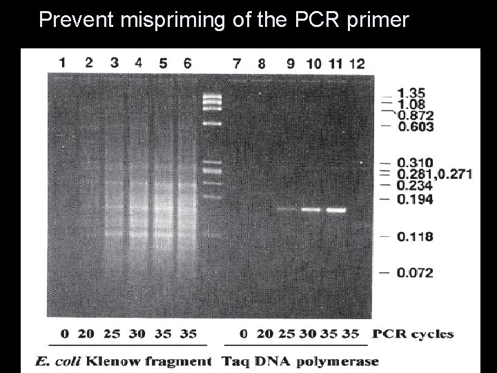 Prevent mispriming of the PCR primer 
