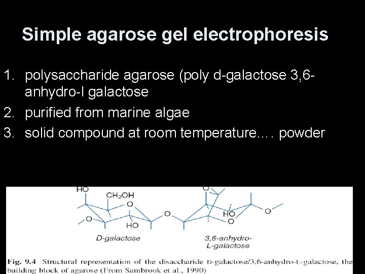 Simple agarose gel electrophoresis 1. polysaccharide agarose (poly d-galactose 3, 6 anhydro-l galactose 2.