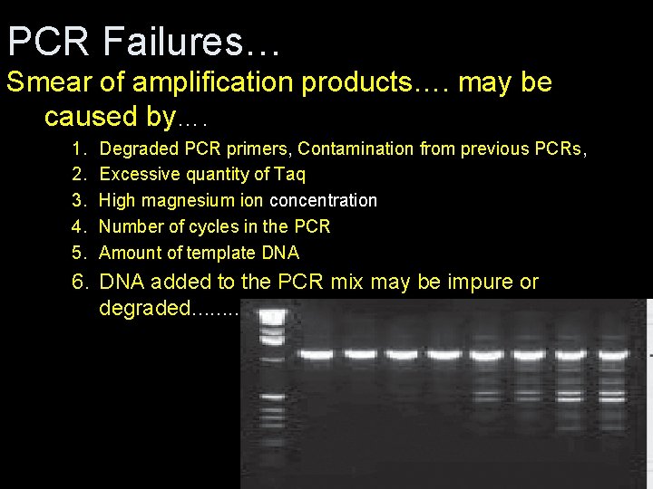 PCR Failures… Smear of amplification products…. may be caused by…. 1. 2. 3. 4.