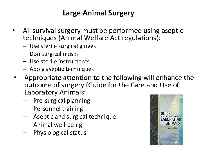 Large Animal Surgery • All survival surgery must be performed using aseptic techniques (Animal