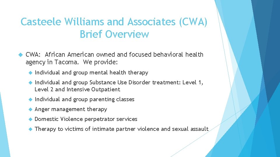 Casteele Williams and Associates (CWA) Brief Overview CWA: African American owned and focused behavioral