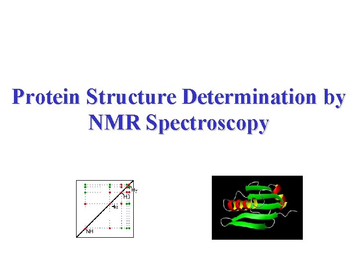 Protein Structure Determination by NMR Spectroscopy 