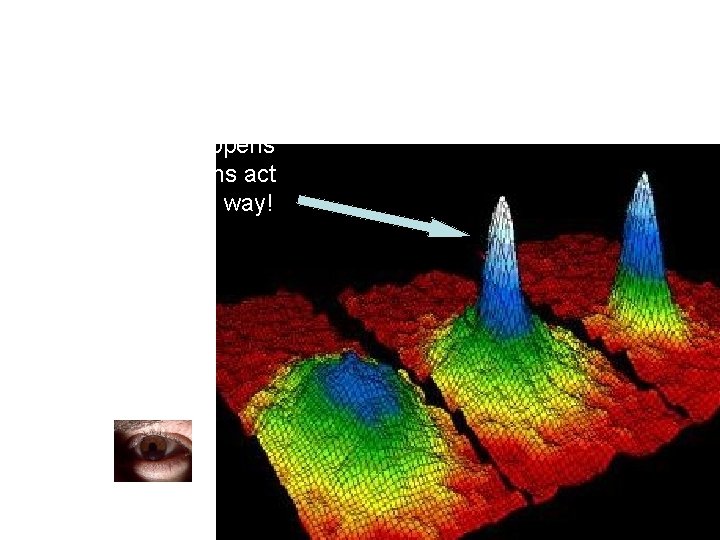 Here is a picture a computer took of Bose-Einstein Condensation The big peak happens
