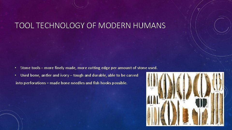 TOOL TECHNOLOGY OF MODERN HUMANS • Stone tools – more finely made, more cutting