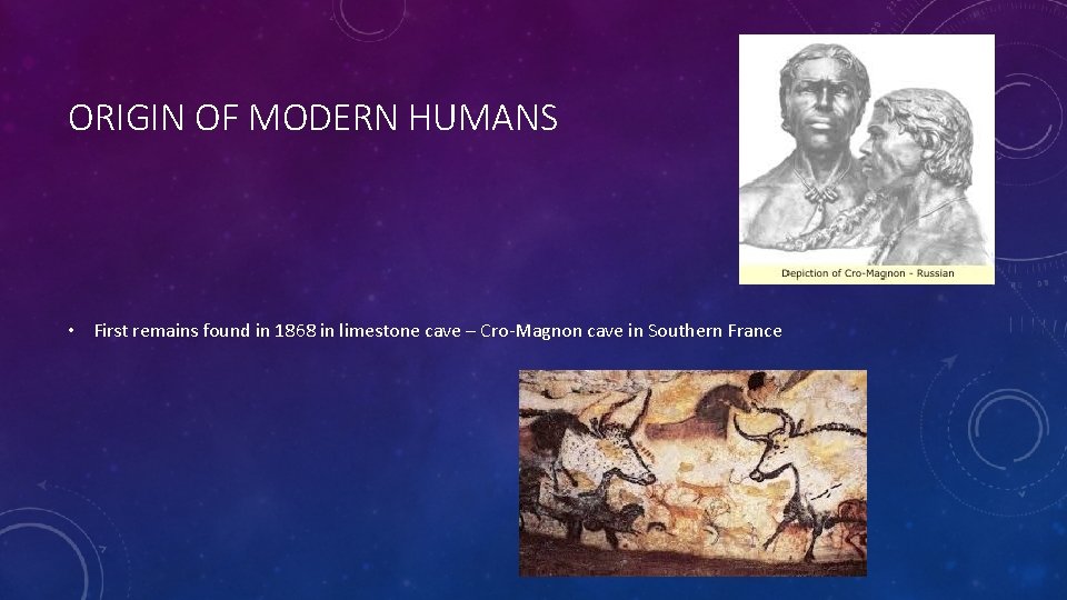 ORIGIN OF MODERN HUMANS • First remains found in 1868 in limestone cave –