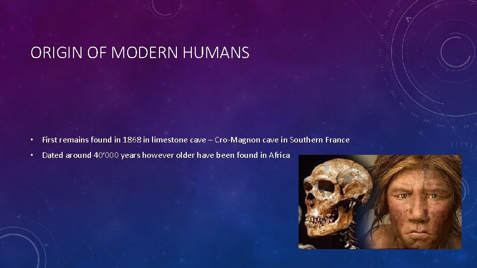 ORIGIN OF MODERN HUMANS • First remains found in 1868 in limestone cave –