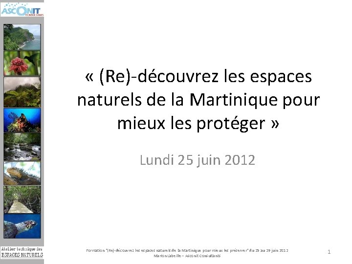  « (Re)-découvrez les espaces naturels de la Martinique pour mieux les protéger »