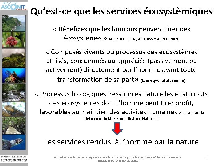 Qu’est-ce que les services écosystèmiques « Bénéfices que les humains peuvent tirer des écosystèmes