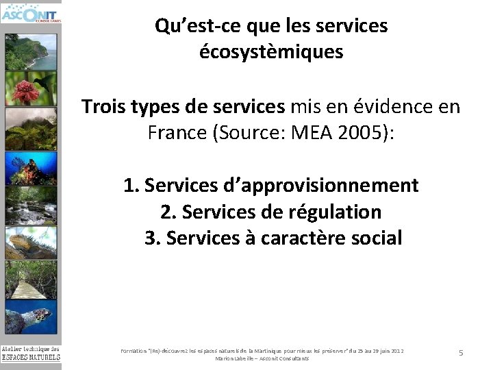 Qu’est-ce que les services écosystèmiques Trois types de services mis en évidence en France