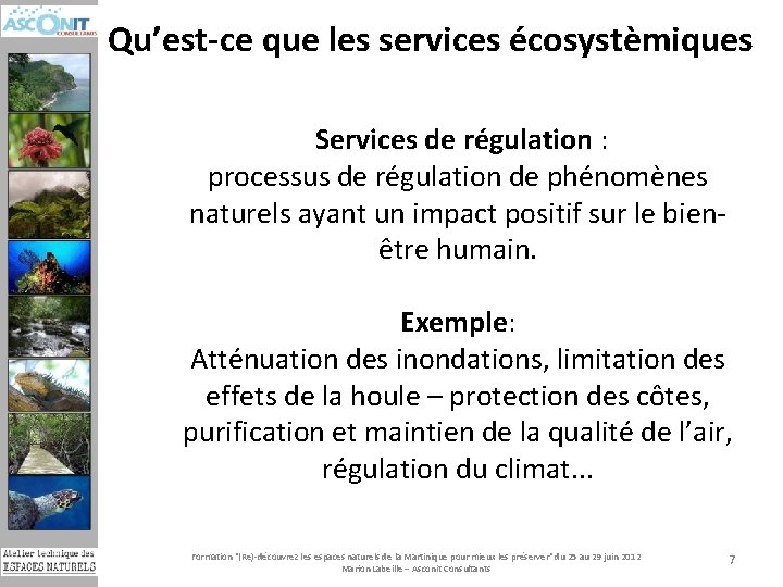 Qu’est-ce que les services écosystèmiques Services de régulation : processus de régulation de phénomènes