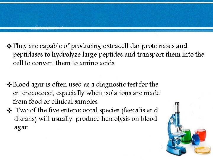 v. They are capable of producing extracellular proteinases and peptidases to hydrolyze large peptides