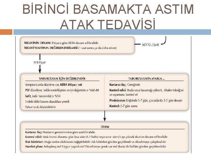 BİRİNCİ BASAMAKTA ASTIM ATAK TEDAVİSİ 