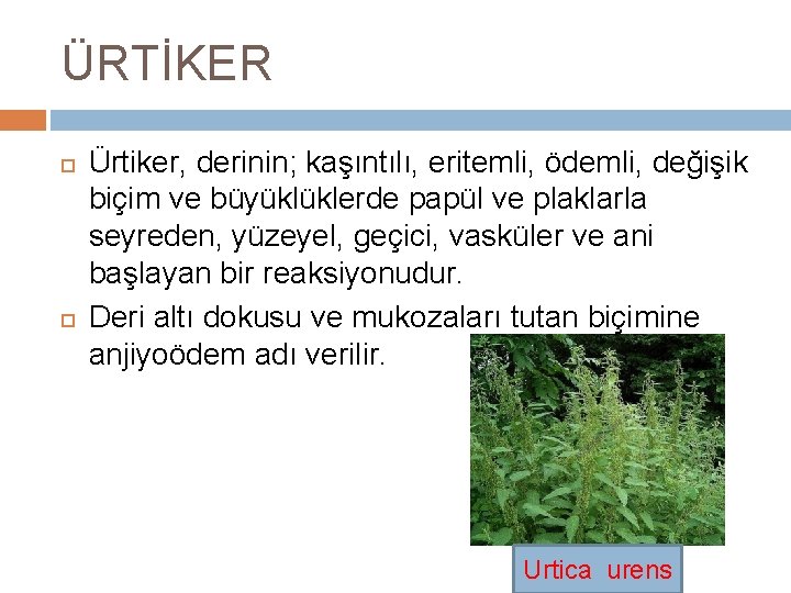 ÜRTİKER Ürtiker, derinin; kaşıntılı, eritemli, ödemli, değişik biçim ve büyüklüklerde papül ve plaklarla seyreden,