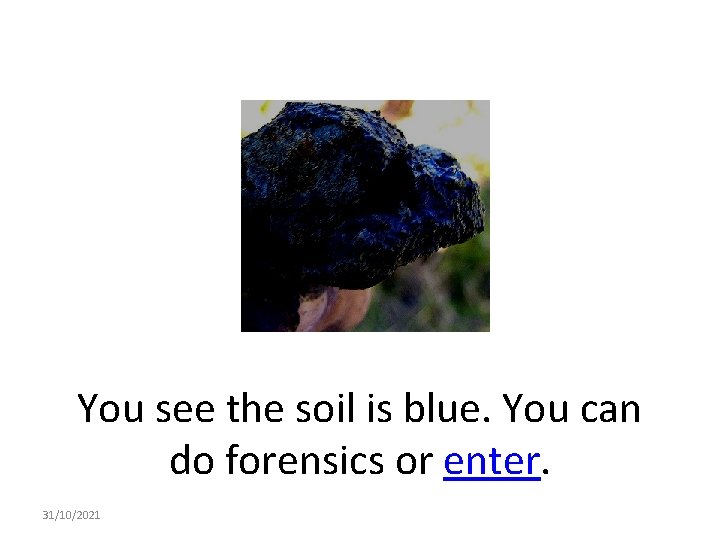 You see the soil is blue. You can do forensics or enter. 31/10/2021 
