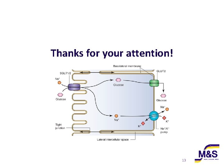 Thanks for your attention! 13 Thanks for your attention! 13