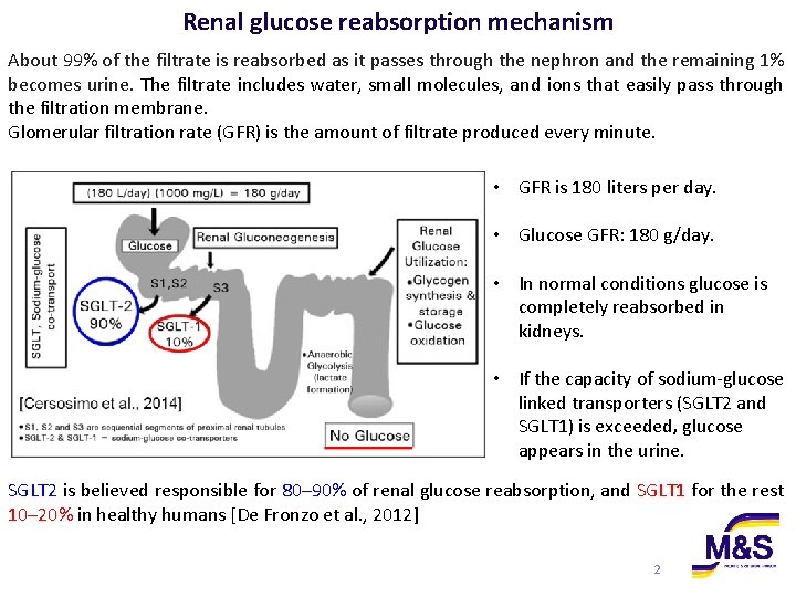 Renal glucose reabsorption mechanism About 99% of the filtrate is reabsorbed as it passes Renal glucose reabsorption mechanism About 99% of the filtrate is reabsorbed as it passes