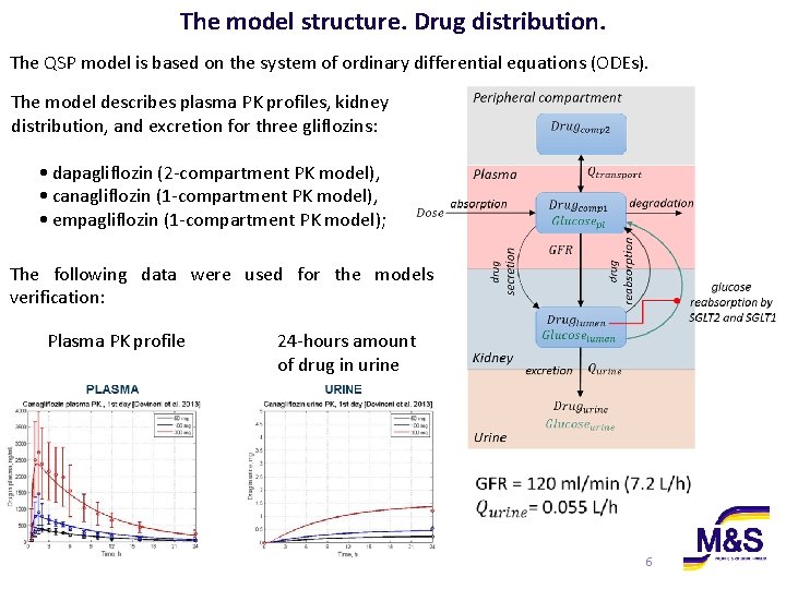 The model structure. Drug distribution. The QSP model is based on the system of The model structure. Drug distribution. The QSP model is based on the system of