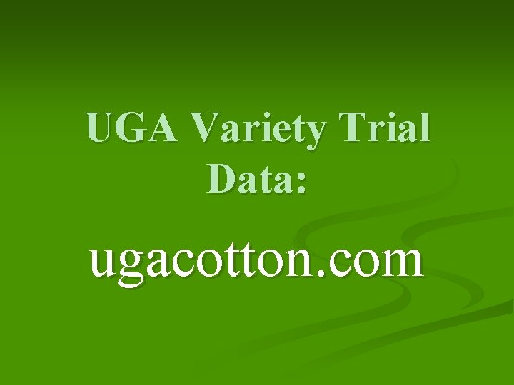 UGA Variety Trial Data: ugacotton. com 