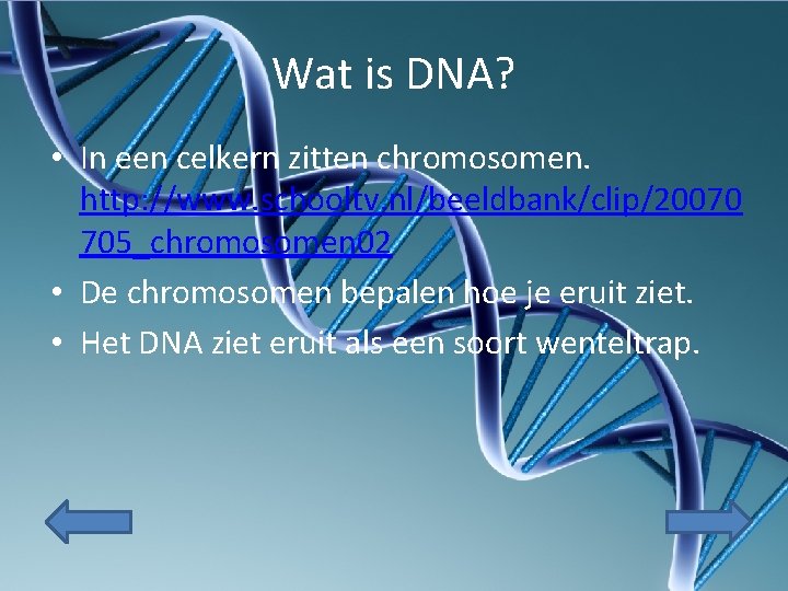 Wat is DNA? • In een celkern zitten chromosomen. http: //www. schooltv. nl/beeldbank/clip/20070 705_chromosomen