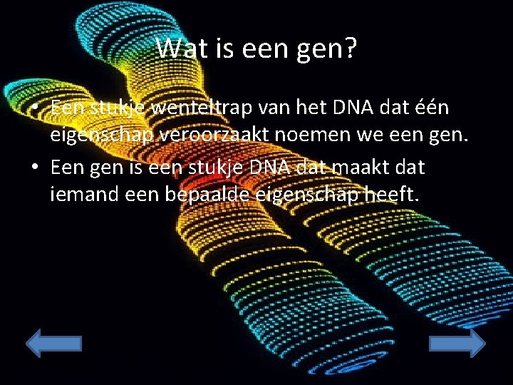 Wat is een gen? • Een stukje wenteltrap van het DNA dat één eigenschap
