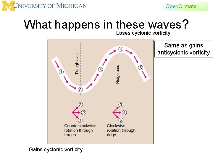 What happens in these waves? Loses cyclonic vorticity Same as gains anticyclonic vorticity Gains